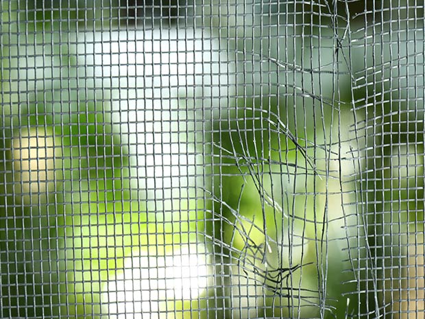 Fliegengitter-direkt Insektenschutz Spannrahmen Gewebe