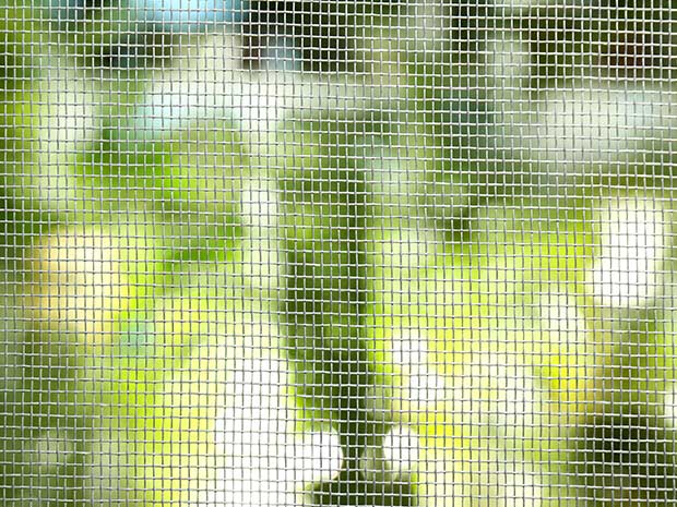 Fliegengitter-direkt Insektenschutz Gewebe Tür